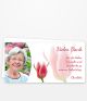 G 134 Rote Tulpe