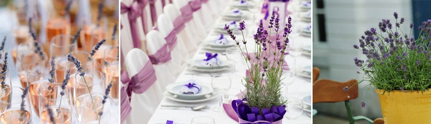 gedeckter Tisch mit Lavendelblüten