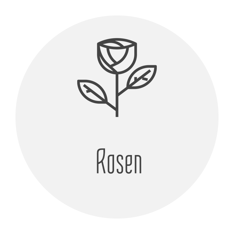 Tischkarten mit Rosen