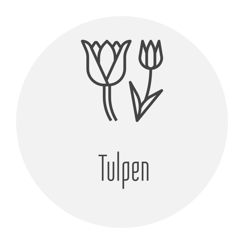 Tischkarten mit Tulpen